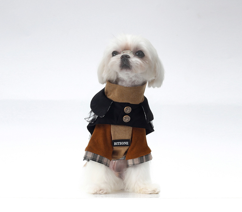 British Style Autumn & Winter Outfit for Dogs and Cat