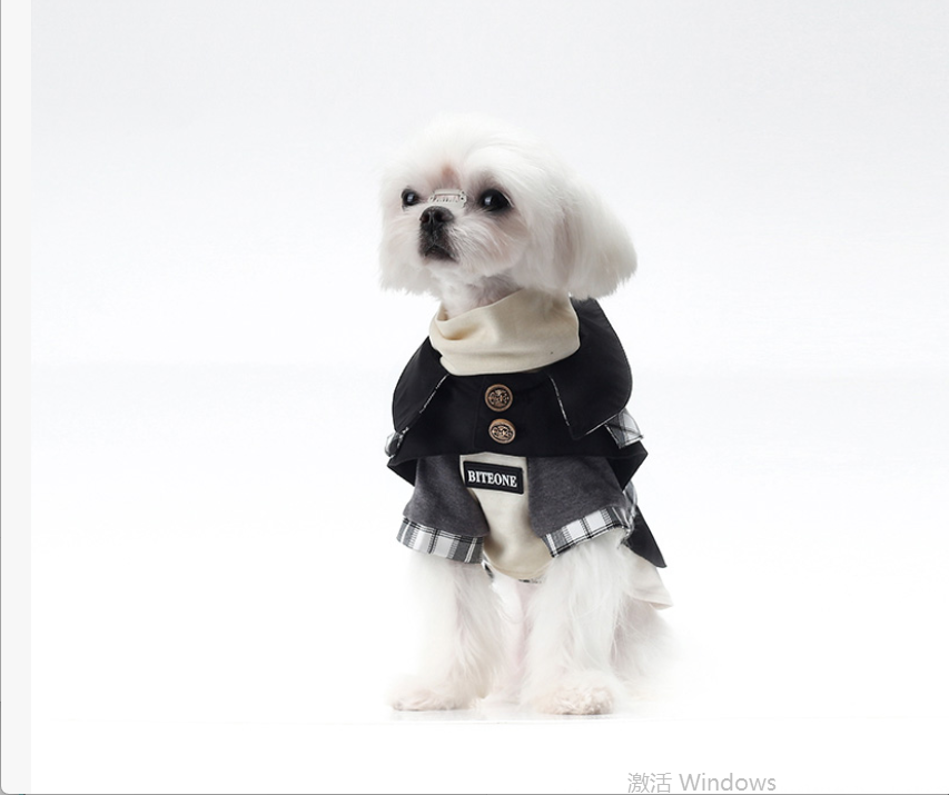 British Style Autumn & Winter Outfit for Dogs and Cat