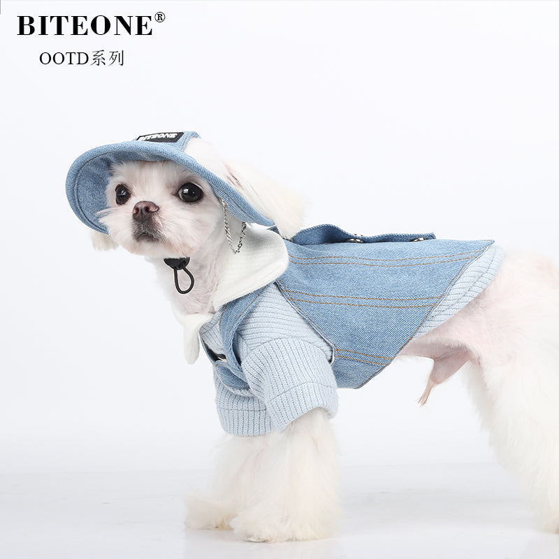 BITEONE Rabbit ear hat, cat dog pet clothes, autumn and winter accessories