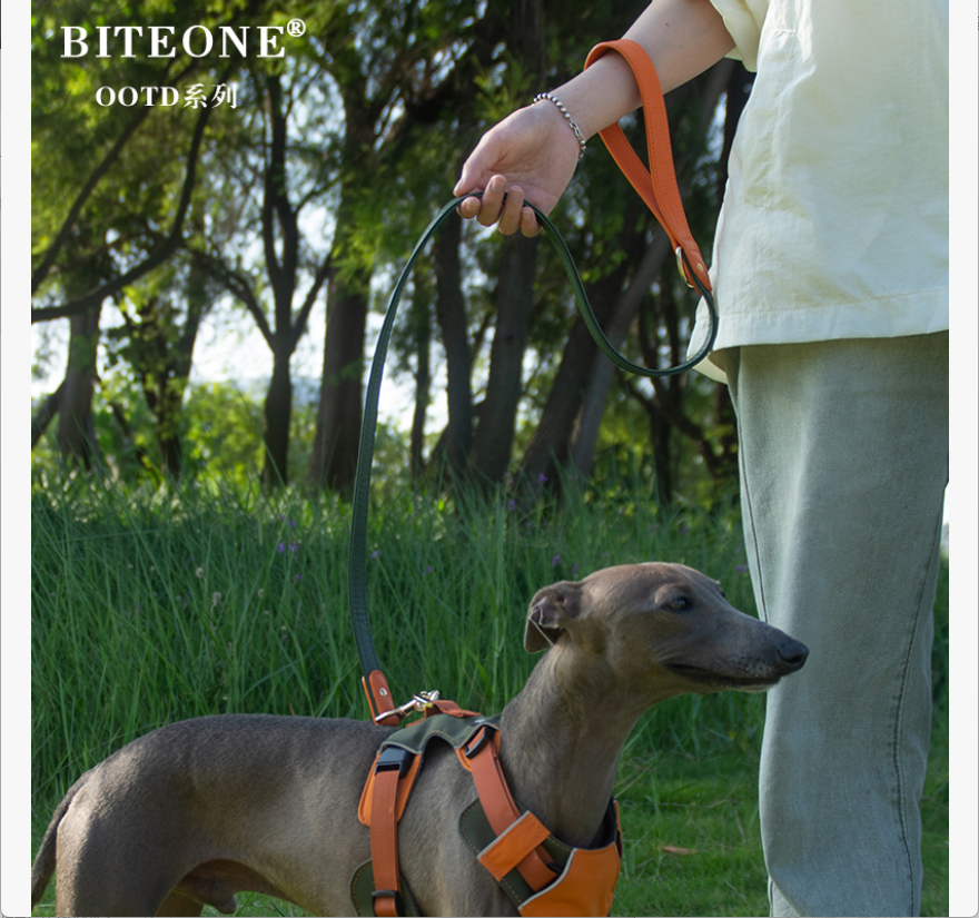 BITEONE Dog & Cat Polo Shirt with Sailor Collar | Stylish Pet Clothing Canada – Soft & Comfortable Faux Shearling Dog Harness Vest – Easy to Clean, Perfect for Walks