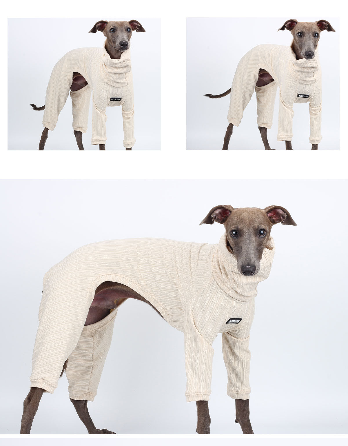 BITYONE [Li Qiu] Cat, Dog, Pet, Autumn/Winter Matching Clothes High Collar Versatile