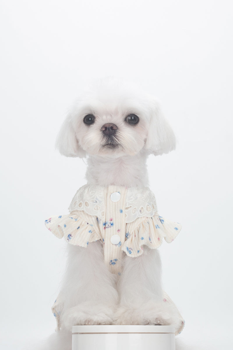 BITEONE Cream Ditsy Floral Pet Dress with Eyelet Lace Collar, Soft Rib Knit, for Small Dogs & Cats