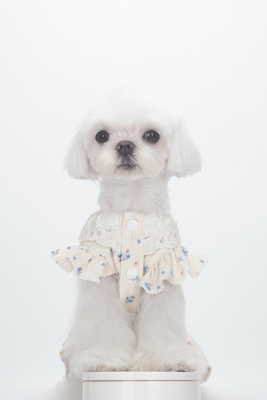 BITEONE Cream Ditsy Floral Pet Dress with Eyelet Lace Collar, Soft Rib Knit, for Small Dogs & Cats