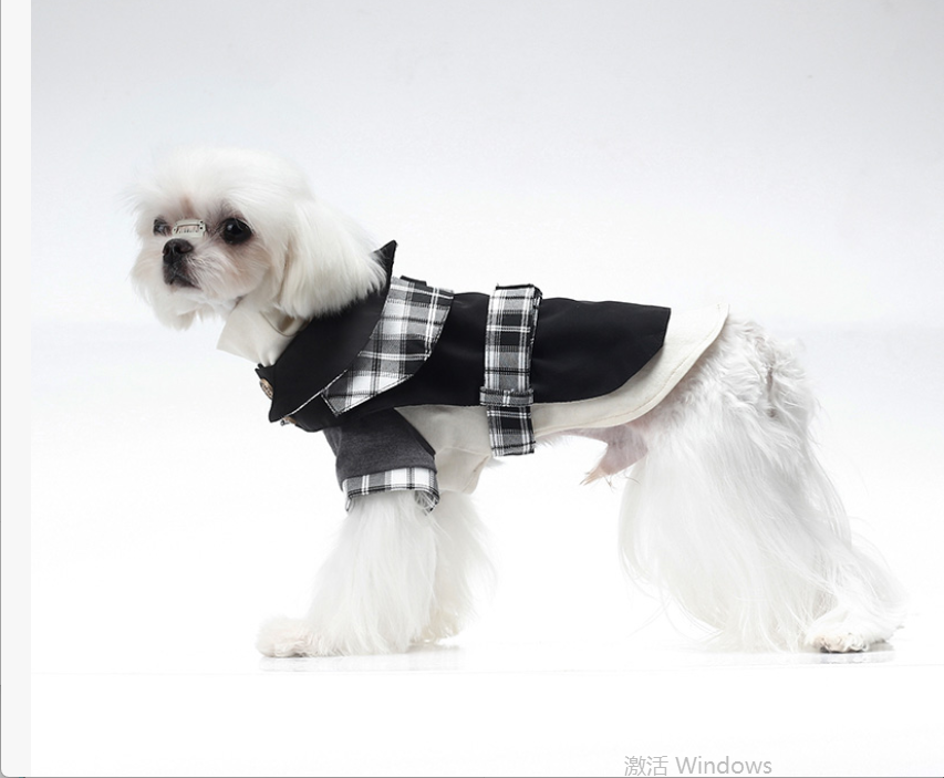 British Style Autumn & Winter Outfit for Dogs and Cat