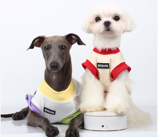 BITEONE Summer Breeze Pet Outfit – New Spring & Summer Collection for Dogs and Cats, Perfect Children’s Day Gift"