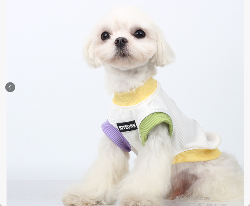 BITEONE Summer Breeze Pet Outfit – New Spring & Summer Collection for Dogs and Cats, Perfect Children’s Day Gift"