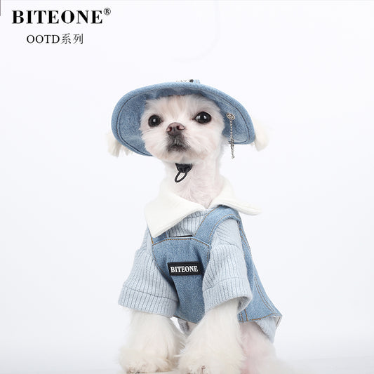 BITEONE Rabbit ear hat, cat dog pet clothes, autumn and winter accessories