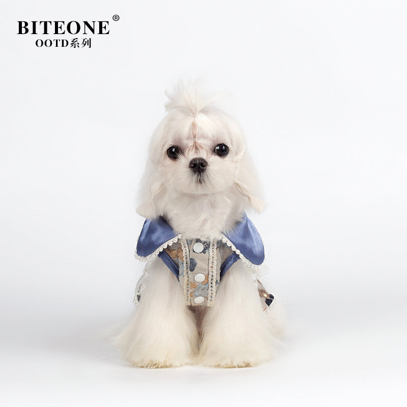 BITYONE [Monet Garden] Pet Cat Purchased Clothes Small Dog Autumn/Winter Skirt Matching
