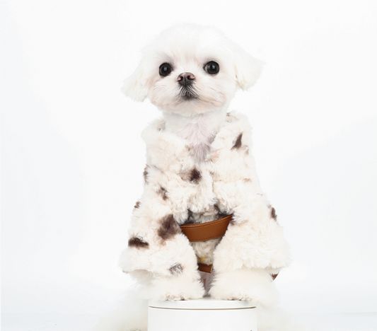 Warm Plush Winter Coat for Dogs and Cats