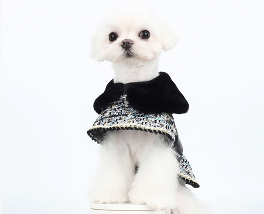 Queen's winter coat